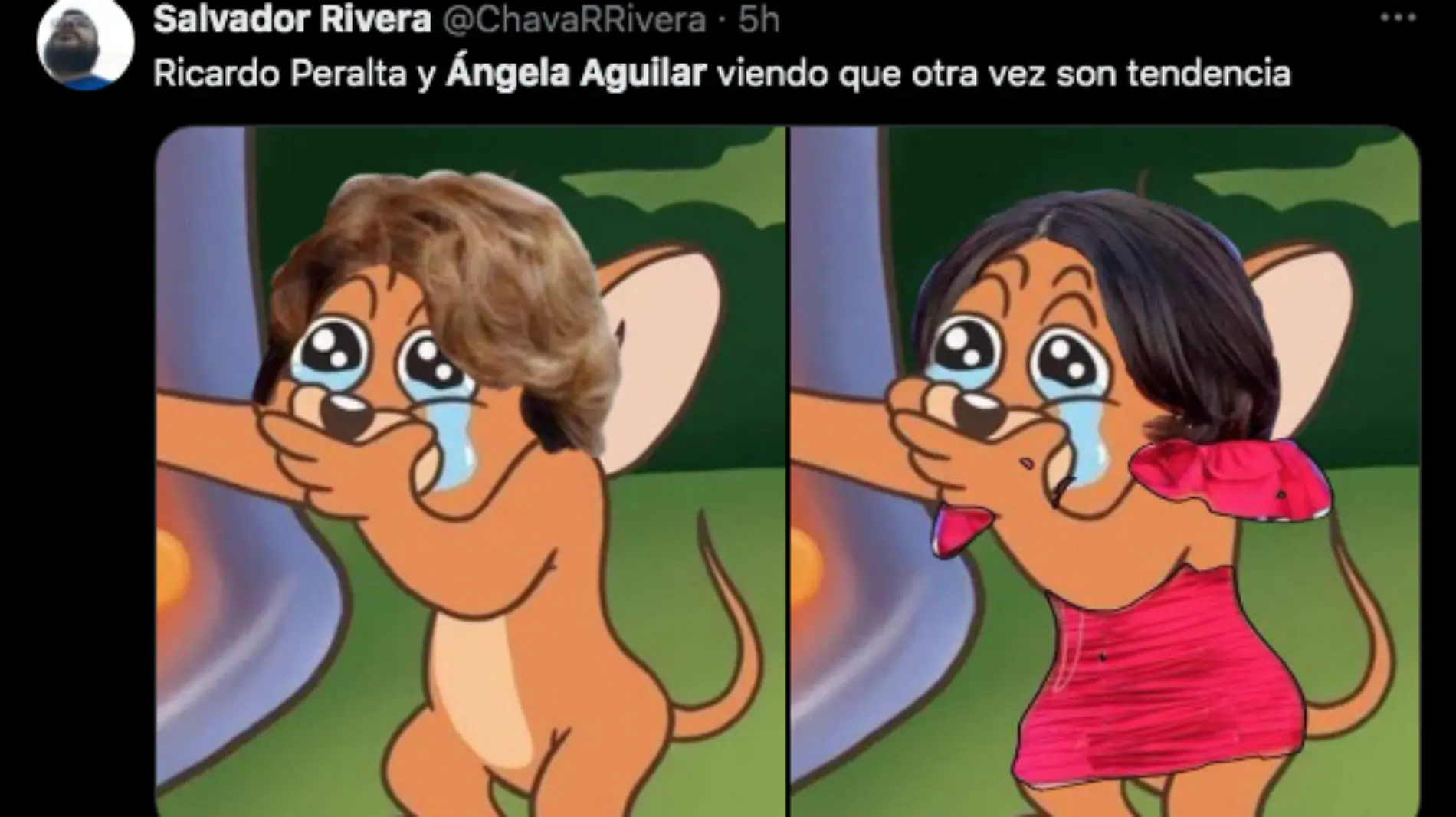 Memes-Ángela Aguilar